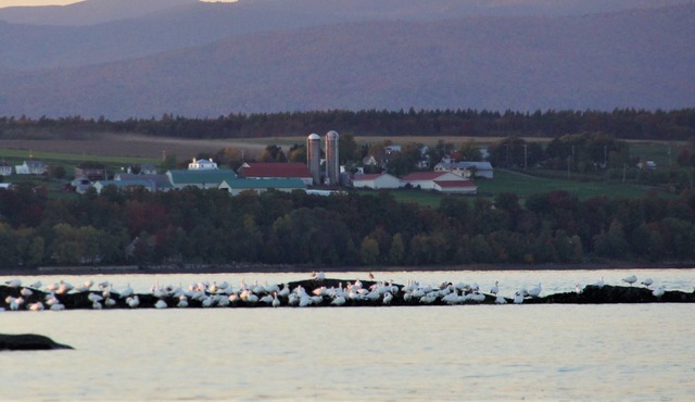 Chalet sur le Bord du Fleuve