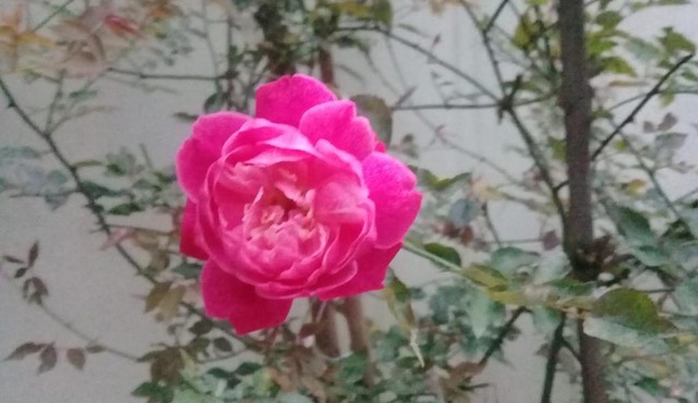 Chalé da Lu