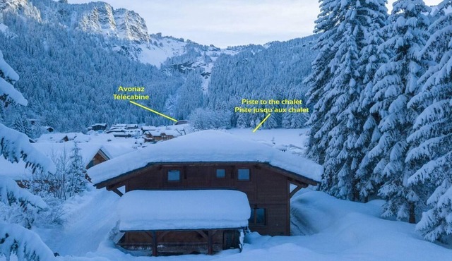 Chalet, 3rd floor, fireplace or stove, tv, 170m², Morzine