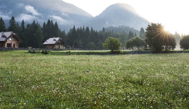 Chalet Alpi Giulie-Il Nido