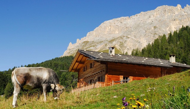 Chalet, alpine hut, ski hut in the middle of the ski area, vacation apartment