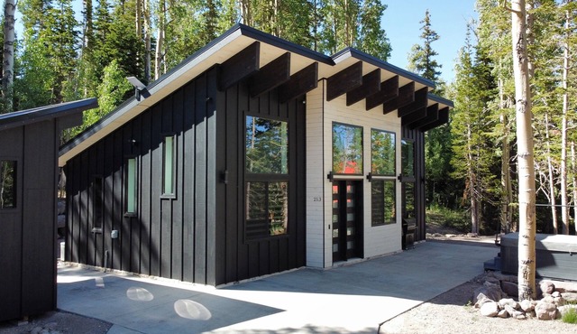 Chalet Black: Modern Ski Resort Haven in Wooded Paradise! 4 queen beds
