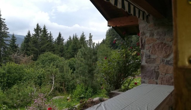 Chalet | Chalet - Adamello Park, Limen BS