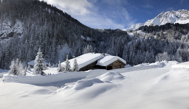 Chalet de l'Armanaz for groups of up to 32 people