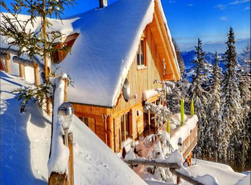 Chalet in Bad Leonhard near Klippitztörl Slopes