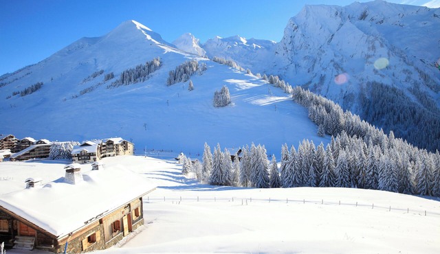 Chalet La Trafolée : summer in the mountain pastures, winter next to the slopes.