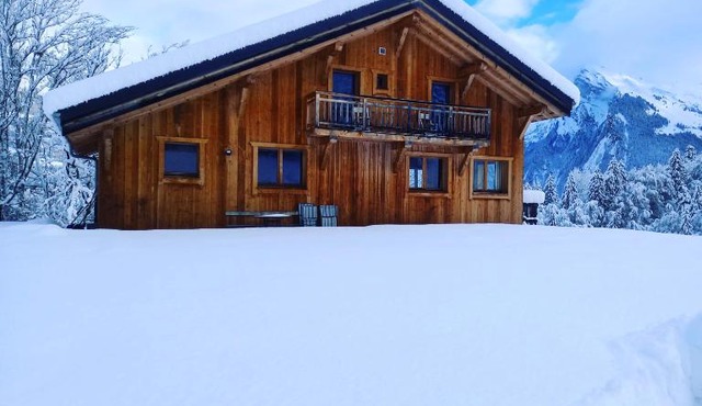 Chalet "Le mas devant"