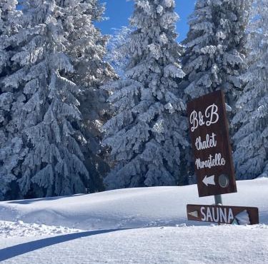 Chalet Mirastelle