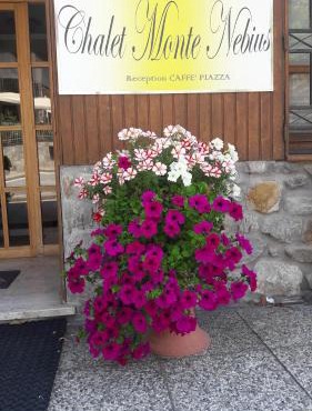Chalet Monte Nebius