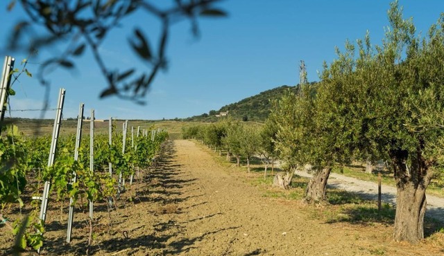 Chalet Nocera - Tenuta Lacco
