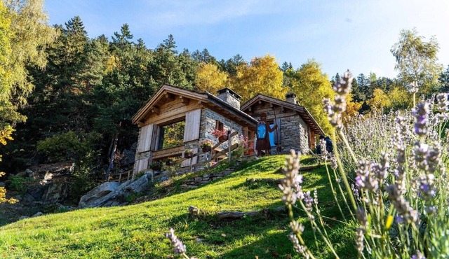 Chalet 'Panorama Res Albert' with Mountain Views, Wi-Fi and Garden