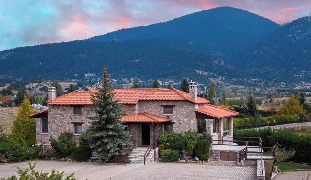 Chalet Panorama -Three Level Escape in Parnassos