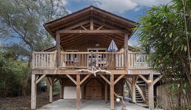 Chalet perché "Le Palmier"