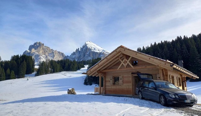 Chalet 'Silvesterhütte' with Mountain View, Private Terrace and Wi-Fi