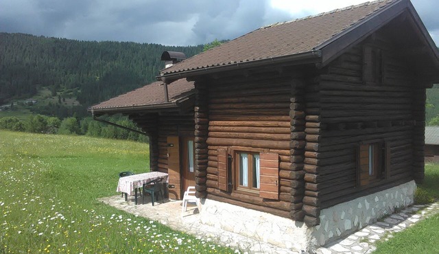 Chalet surrounded by greenery near MTB routes