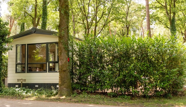 Chalet, with 2 steps in the woods | Veluwe | Kids.
