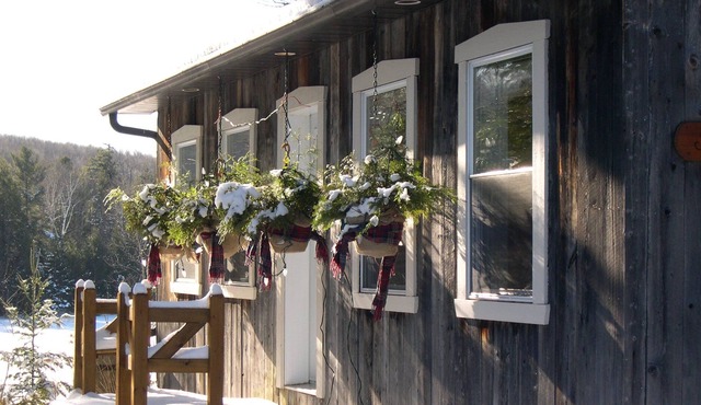 Chalets des Pins