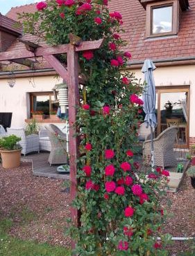 Chambre D'hotes Le Clos Fleuri