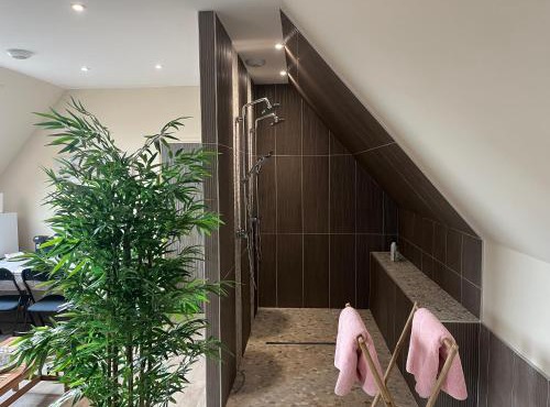 chambre Mont Fleuri