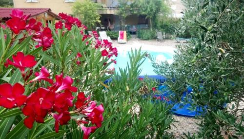 Chambre studio cuisine indépendant 2 pers piscine proche Thermes des Fumades