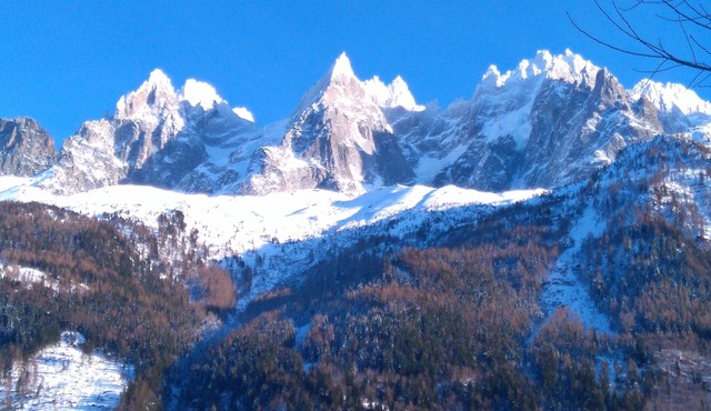 CHAMONIX superb stud 2/3 pers, private residence, parking, ski lift access