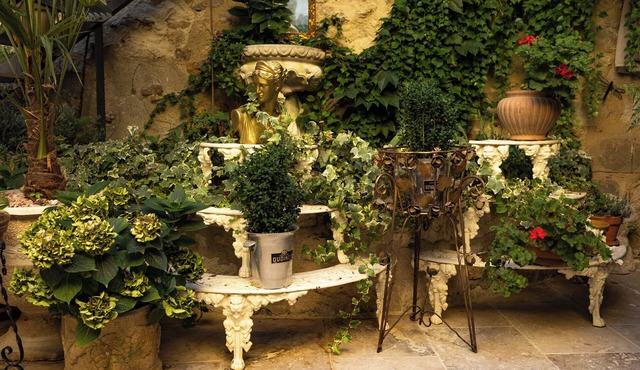 Champagne House