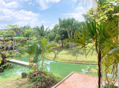 Chan Klong No8 Homestay - บ้านชานคลองหมายเลข8