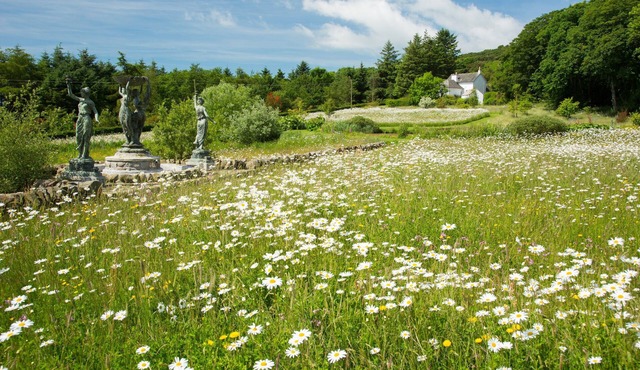 Characterful stone cottage in its own fully enclosed garden. No neighbours!