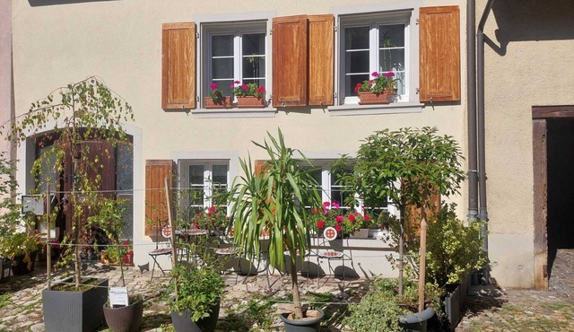 Characteristic 18th-century apartment, hiking groups, families