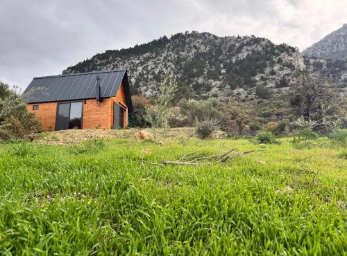 Chardonnay Tiny Home for Nature Lovers North Cyprus