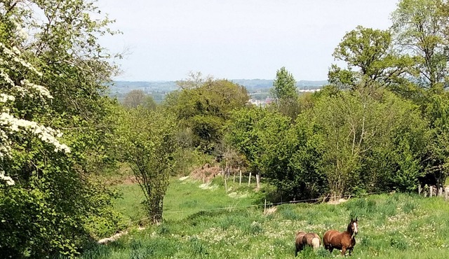 Charm and nature