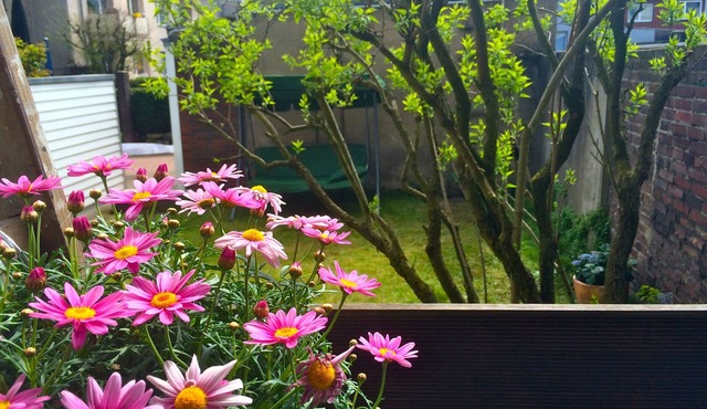 Charmant is centrally located, close to uni