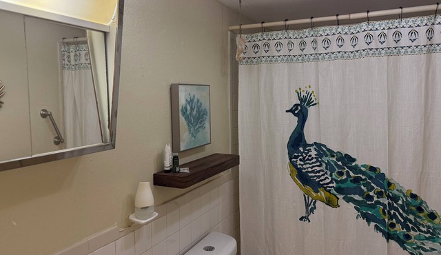 Charming 1-bedroom apartment in fabulous Christiansted with WiFi, AC