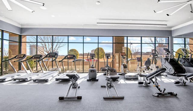 Charming 1-Bedroom Apartment in Richardson TX Near Dallas Gym + AC