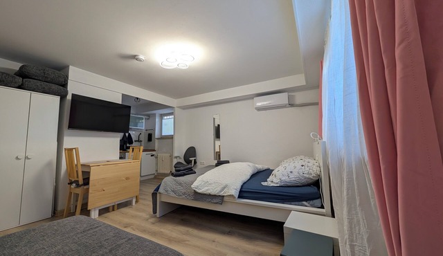 Charming 1-bedroom apartment with AC, WiFi in tranquil Walldorf