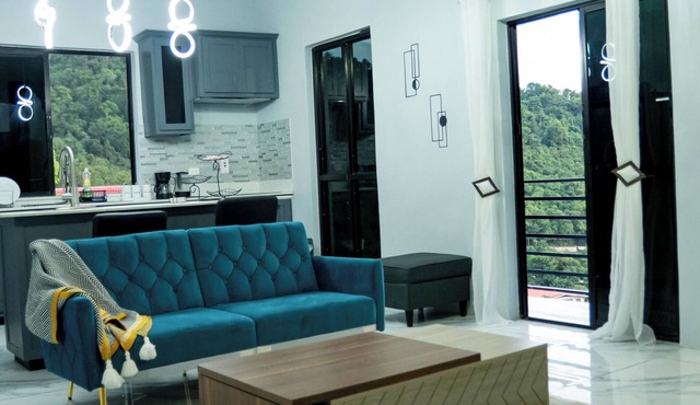 Charming 1-bedroom apartment with WiFi and VPN in Kingston