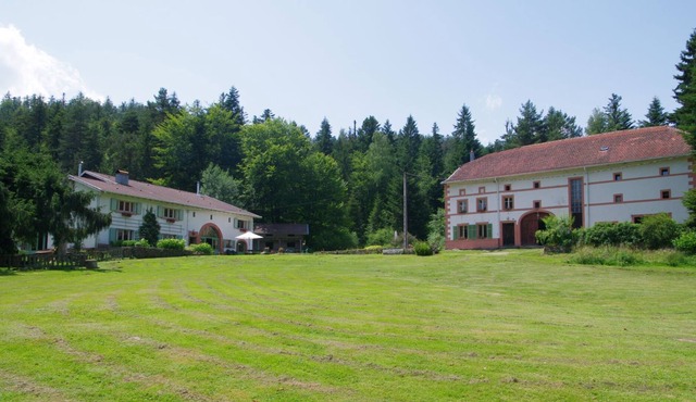 Charming 19th century Vosges farmhouse, for nature lovers
