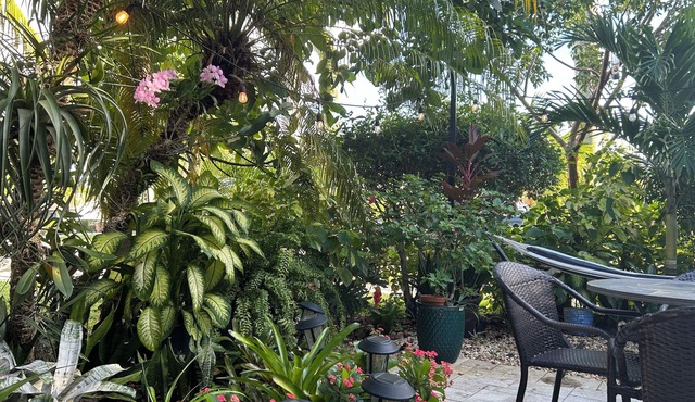 Charming 2-bedroom house with gorgeous patio garden