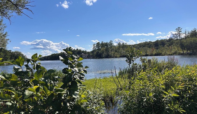 Charming 2-bedroom cottage with AC and WiFi on Ballston Lake. Family friendly.