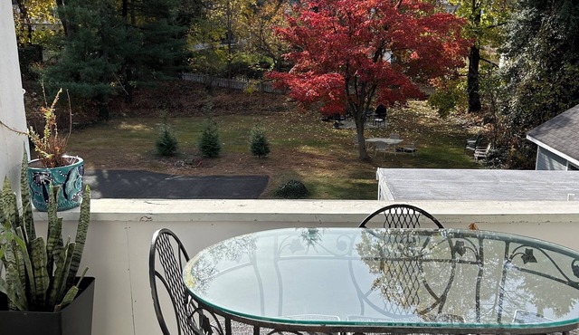 Charming 2-bedroom apartment with WiFi, AC in tranquil Morristown