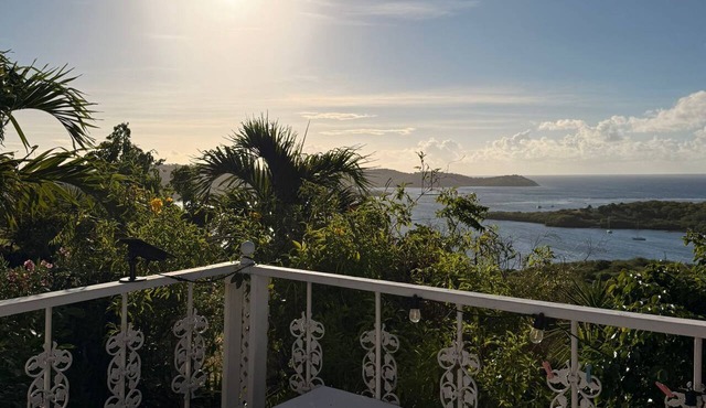 Charming 2-bedroom house with pool, outdoor gym, views, and biohacking tools!