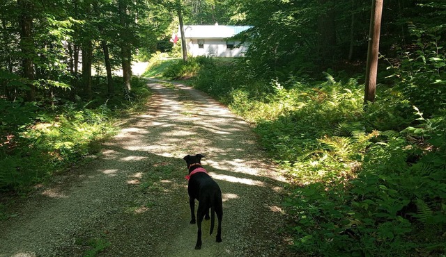 Charming 2-bedroom house with AC, WiFi in the middle of paradise.