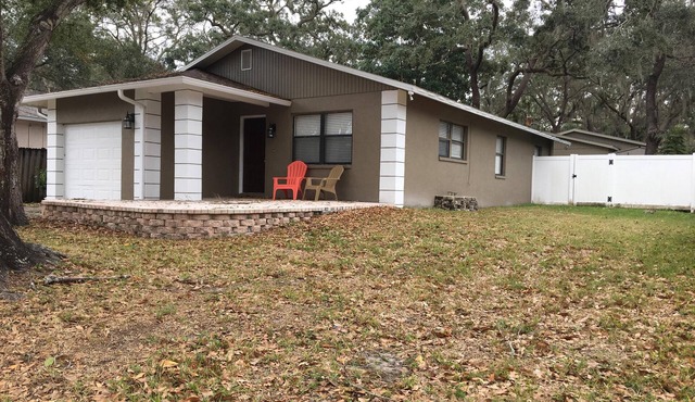 Charming 3 bed, 2 bath home walking distance to Downtown Safety Harbor