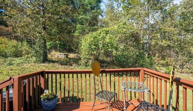 Charming 3-bedroom house with WiFi, AC in lovely Morganton