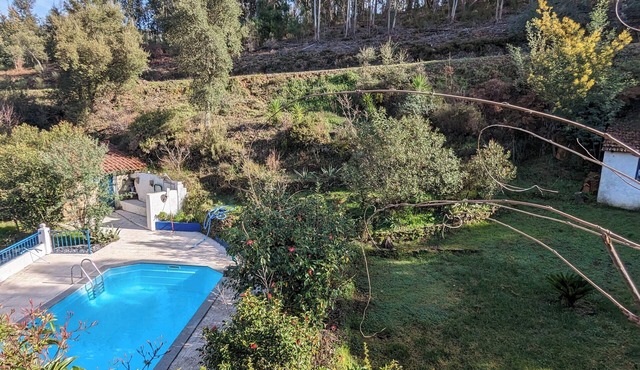 Charming 3-bedroom villa in fabulous Figueiro dos Vinhos with private pool