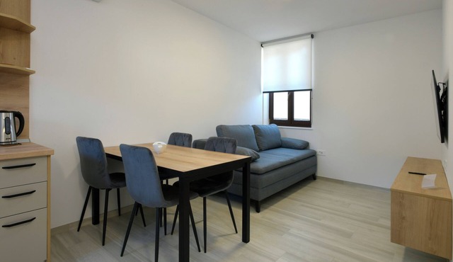 Charming 37 m² 1-Bedroom Apartment with AC & Wi-Fi in Solkan