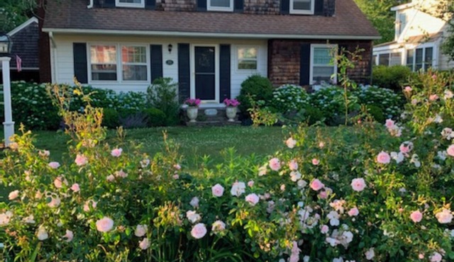 Charming 4 bd cape in Quonnie's Ctrl Bch- short walk to a stunning private beach