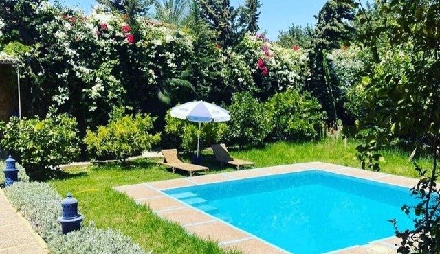 Charming 4-bedroom bed & breakfast in lovely Tiout with AC and Pool