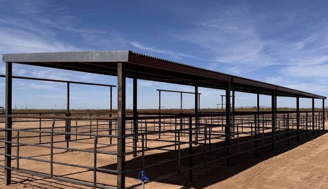Charming 4-bedroom house in Wittmann with up to 4 Stalls for your horses.