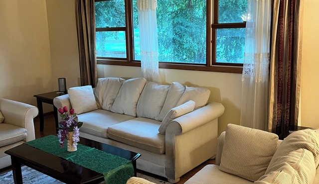 Charming 4-bedroom house with WiFi and AC in fabulous Minneapolis